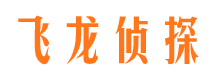 商城市调查公司